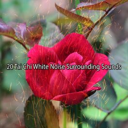 Album cover of 20 Tai Chi White Noise Surrounding Sounds