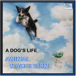 Album cover of A Dog's Life