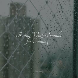 Album cover of Rainy Winter Sounds for Calming