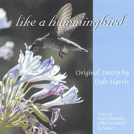 Album cover of Like A Hummingbird