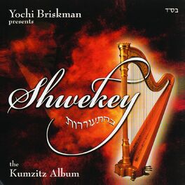Album cover of Shwekey Behitorerut
