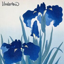 Album cover of Undertow