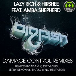 Album cover of Damage Control Remixes