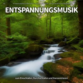 Album cover of #01 Entspannungsmusik zum Einschlafen, Durchschlafen und Konzentrieren