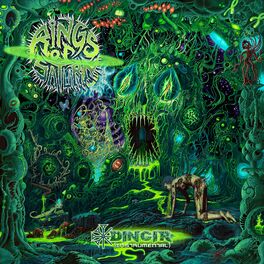 Album cover of Dingir (Instrumental)