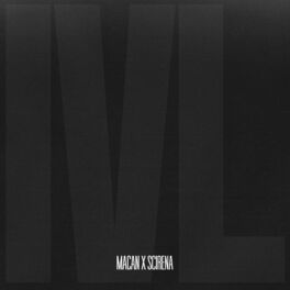 Album cover of IVL
