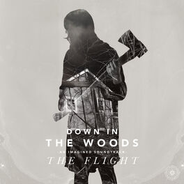 Album cover of Down In The Woods