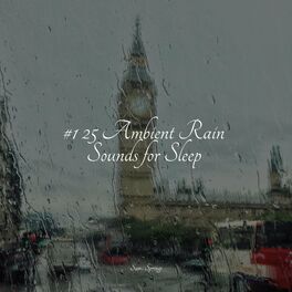 Album cover of 25 Rain Sounds for Sleep and Meditation
