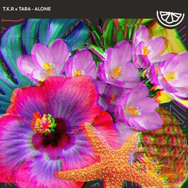 Album cover of Alone