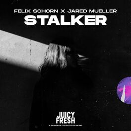 Album cover of Stalker