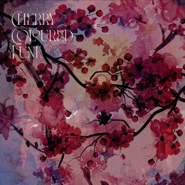 Album cover of Cherry-Coloured Funk