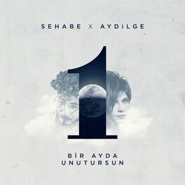 Album cover of Bir Ayda Unutursun