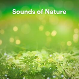 Album cover of Sounds of Nature