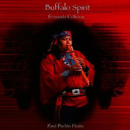 Album cover of Buffalo Spirit