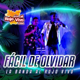 Album cover of Fácil De Olvidar
