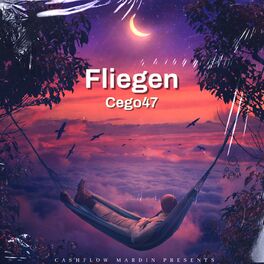 Album cover of Fliegen