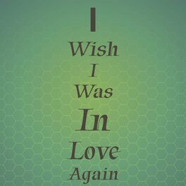 Album cover of I Wish I Was In Love Again