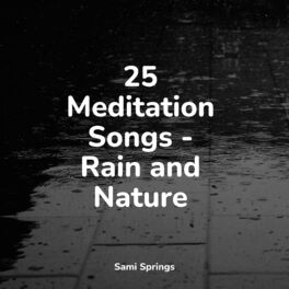 Album cover of 25 Meditation Songs - Rain and Nature