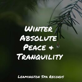 Album cover of Winter Absolute Peace & Tranquility