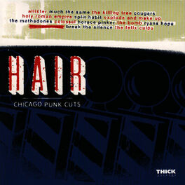 Album cover of Hair - Chicago Punk Cuts