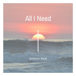 Album cover of All I Need