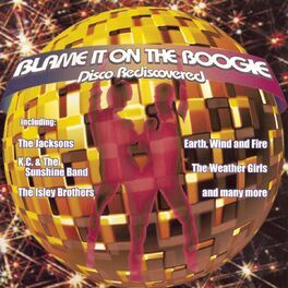 Album cover of Blame It On The Boogie