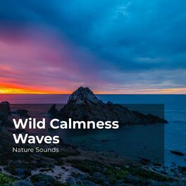 Album cover of Wild Calmness Waves