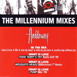 Album cover of The Millenium Mixes