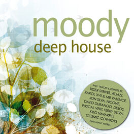 Album cover of Moody Deep House