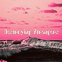Album cover of Destroying Strangers