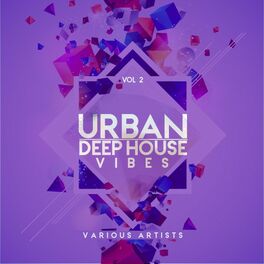 Album cover of Urban Deep-House Vibes, Vol. 2
