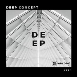 Album cover of Deep Concept, Vol. 1