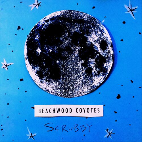 cuffing season lyrics beachwood coyotes