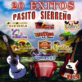 Album cover of 20 Exitos Pasito Sierreno, Vol. 4