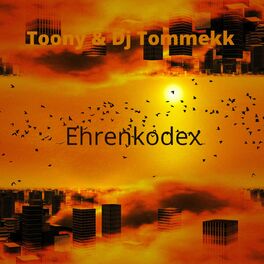 Album cover of Ehrenkodex