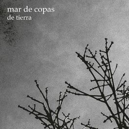 Album cover of De Tierra