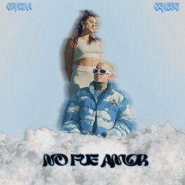 Album cover of No fue amor