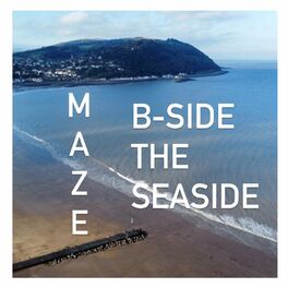 Album cover of B-Side The Seaside