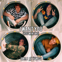 Album cover of I Want You (You Want Me)