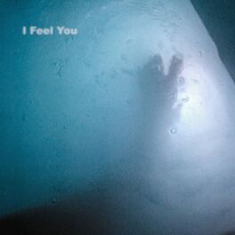 Album cover of I Feel You