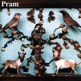 Album cover of The Museum Of Imaginary Animals