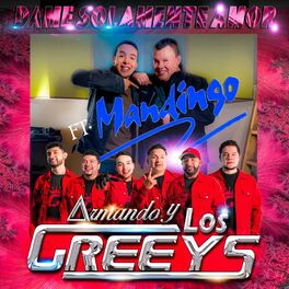 Album cover of Dame Solamente Amor (feat. Mandingo)