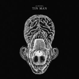 Album cover of Tin Man