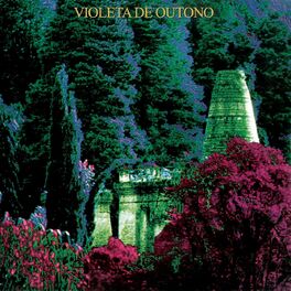 Album cover of Violeta de Outono