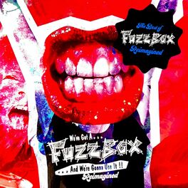 Album cover of We've Got a Fuzzbox and We're Gonna Use It: Reimagined