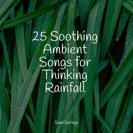 Album cover of 25 Soothing Ambient Songs for Thinking Rainfall