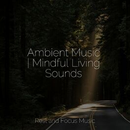 Album cover of Ambient Music | Mindful Living Sounds