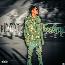 Album cover of Platinum Feeling