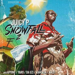 Album cover of Snowfall #2