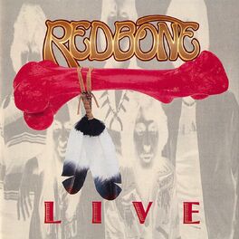 Album cover of Live